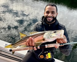 Snook Fishing in Tampa, Florida