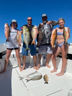 Black Grouper, Hogfish, Mangrove Snapper, Mutton Snapper, Triggerfish Fishing in Islamorada, Florida