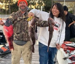 California Sheephead, Lingcod Fishing in Long Beach, California