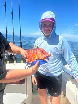 Hogfish Fishing in Madeira Beach, Florida