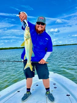 Snook Fishing in Islamorada, Florida