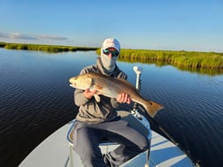 Fishing in New Orleans, Louisiana