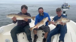 Redfish Fishing in Pensacola, Florida