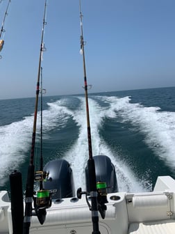 Striped Bass Fishing in Dennis, Massachusetts