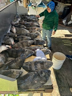 Fishing in Biloxi, Mississippi