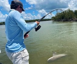 Speckled Trout / Spotted Seatrout fishing in Tavernier, Florida