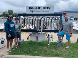 Atlantic Salmon fishing in St. Joseph, Michigan