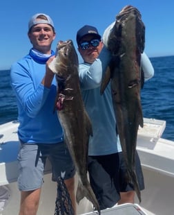 Gag Grouper Fishing in Jacksonville, Florida