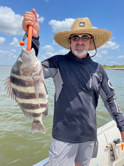 Sheepshead Fishing in Galveston, Texas