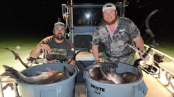 Alligator Gar Fishing in Waco, Texas