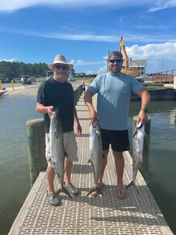 King Mackerel / Kingfish fishing in Gulf Shores, Alabama