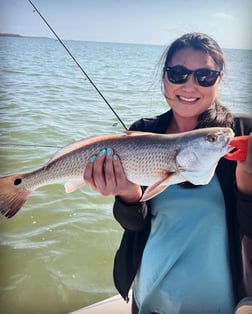 Lane Snapper Fishing in Cape Coral, Florida