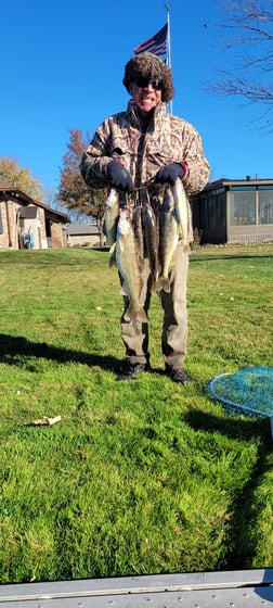 Walleye Fishing in Port Sanilac, Michigan