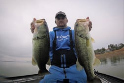 Largemouth Bass Fishing in Buchanan Lake Village, Texas