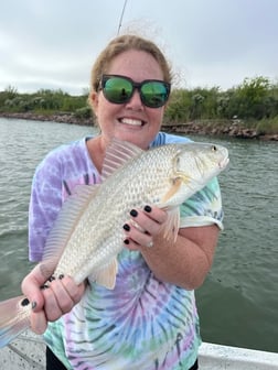 Redfish Fishing in Galveston, Texas