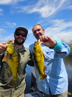 Fishing in Fort Lauderdale, Florida