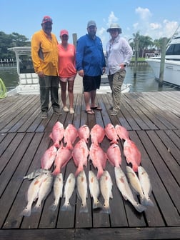 Red Snapper, Redfish Fishing in Buras, Louisiana