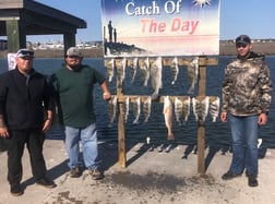 Black Drum, Redfish Fishing in Rockport, Texas