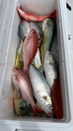 Fishing in Tavernier, Florida