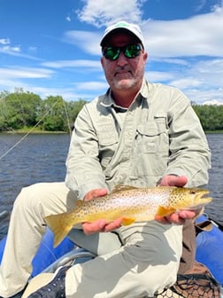 Brown Trout fishing in Deer Lodge, Montana