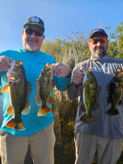 Fishing in Fort Lauderdale, Florida