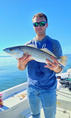 Sheepshead, Speckled Trout / Spotted Seatrout Fishing in Crystal River, Florida