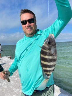 Fishing in Sarasota, Florida