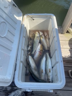 Fishing in Corpus Christi, Texas