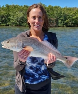 Redfish Fishing in Clearwater, Florida