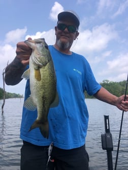 Largemouth Bass Fishing in Lake Fork, Texas