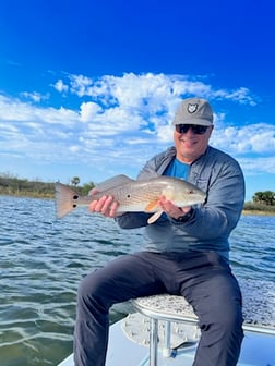 Redfish Fishing in Tallahassee, Florida