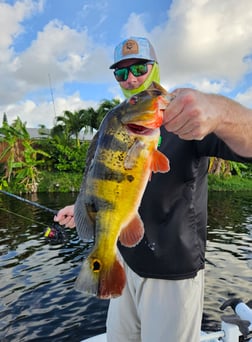 Fishing in Delray Beach, Florida