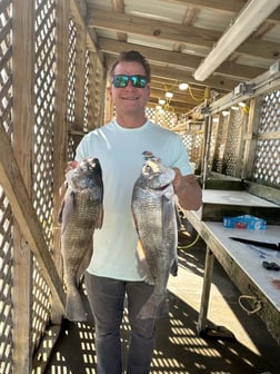 Fishing in Corpus Christi, Texas