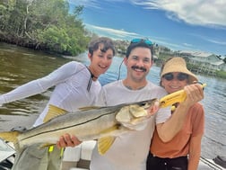 Snook Fishing in Sarasota, Florida