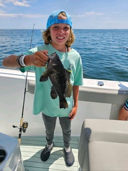 Black Seabass Fishing in Stone Harbor, New Jersey