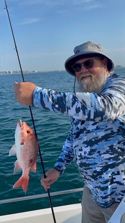 Red Snapper, Spanish Mackerel Fishing in Orange Beach, Alabama