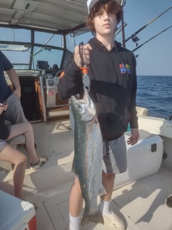 Chinook Salmon Fishing in Kenosha, Wisconsin