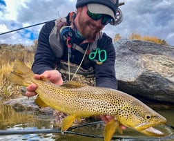 Brown Trout fishing in Rome, Georgia