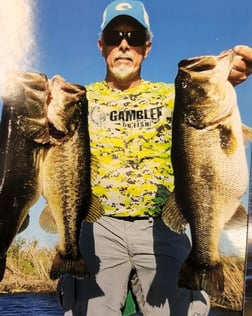 Largemouth Bass Fishing in Okeechobee, Florida, USA