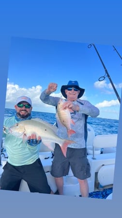 Fishing in Tavernier, Florida