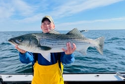 Striped Bass Fishing in Montauk, New York