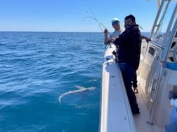 Fishing in Charleston, South Carolina