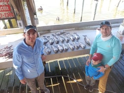 Black Drum Fishing in Houston, Texas