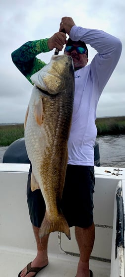 Amberjack, Mangrove Snapper, Mutton Snapper, Red Snapper Fishing in Biloxi, Mississippi, USA