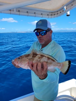 Fishing in Dorado, Puerto Rico