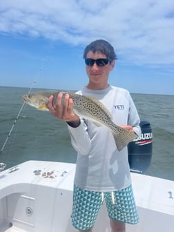 Cobia Fishing in Hatteras, North Carolina