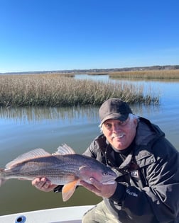 Gag Grouper Fishing in Little River, South Carolina