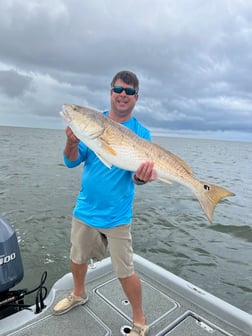 Jack Crevalle fishing in Venice, Louisiana