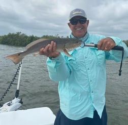 Snook Fishing in New Smyrna Beach, Florida