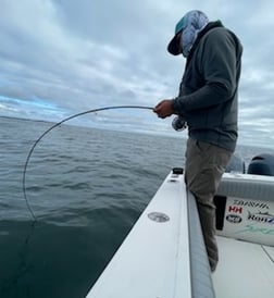 Bonito fishing in Chatham, Massachusetts